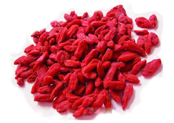 枸杞子宁夏 贡果180粒 250克装 正宗中宁枸杞批发 新货 枸杞