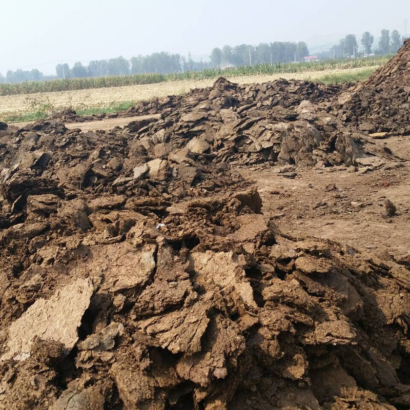 厂家直销纯天然羊粪 内蒙古纯羊粪有机肥 发酵加工羊粪有机肥