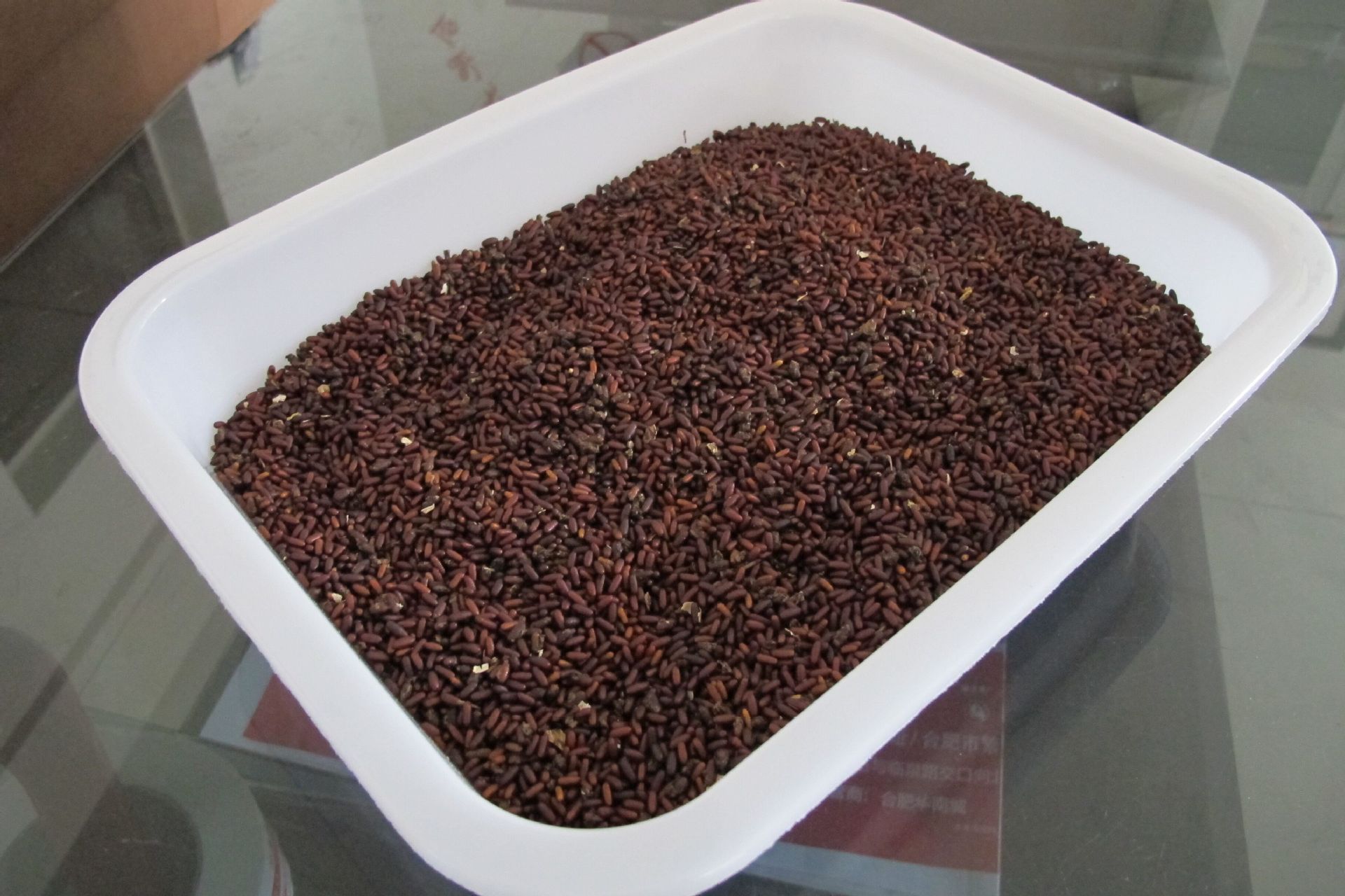 厂家直供 红头苍蝇种 绿头蝇 大头蝇 蝇蛆种 苍蝇蛹-阿里巴巴