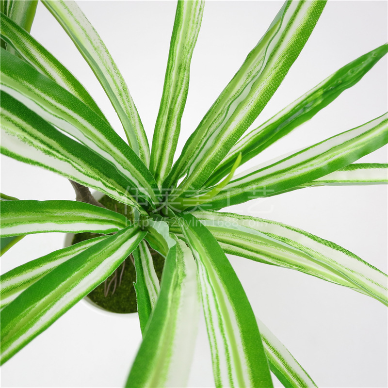 仿真植物3叉白叶兰草 把束假花仿真花艺园林绿化工程配材盆景绿植