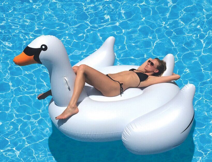 0b64d2f5658a1954f58df44db0ed6e