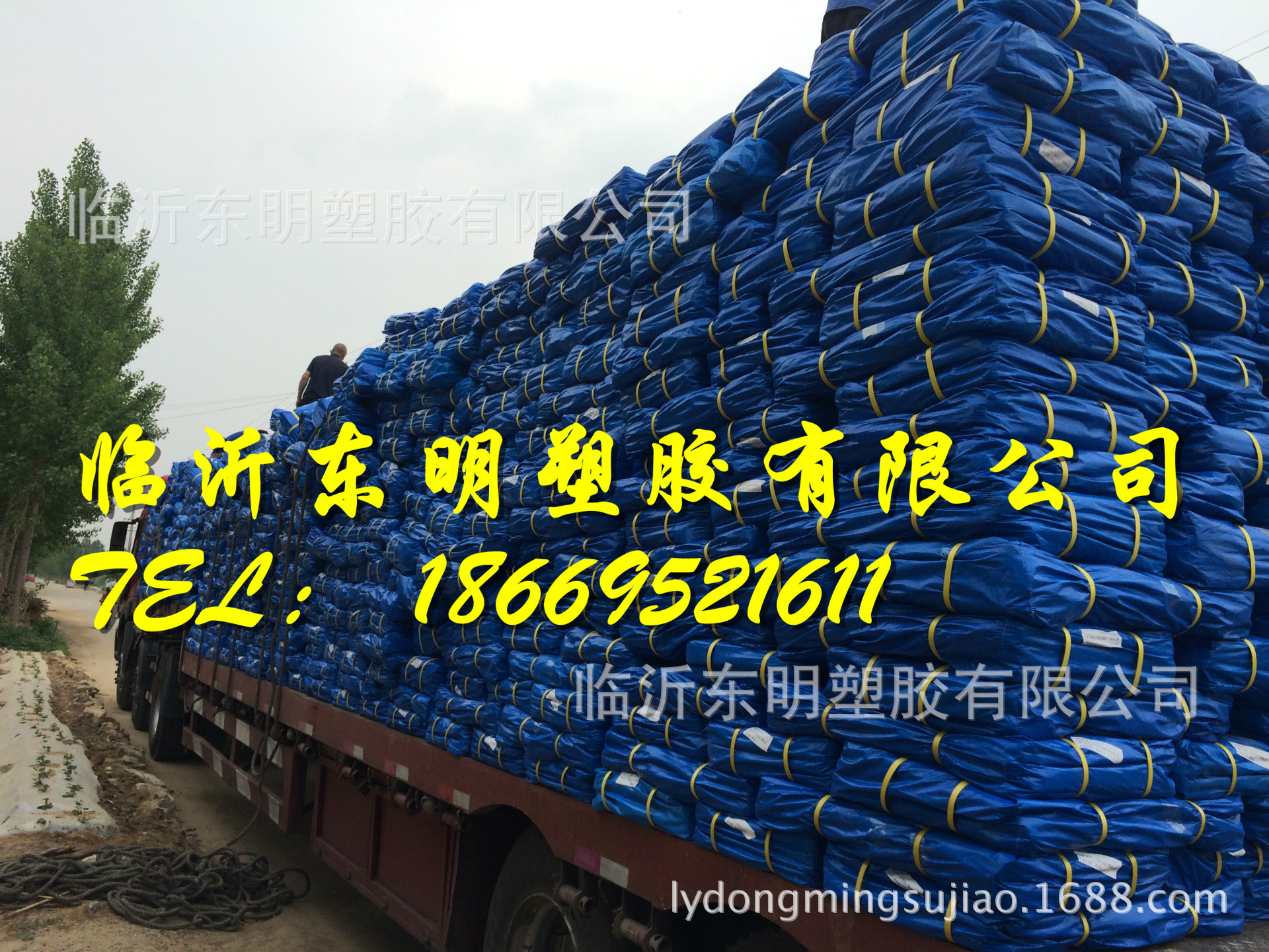 Linyi Excellent PE Tarpaulin Linyi Export Tarpaulin Support Customized Blue and White Tarpaulin