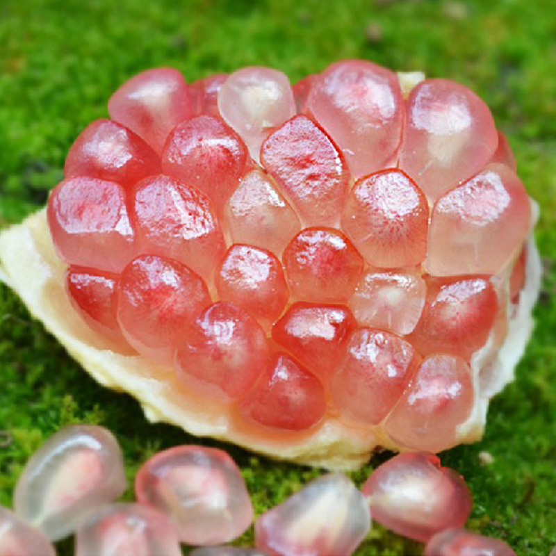 基地直销石榴果大青皮甜石榴小苗大量现货甘甜多汁薄皮软籽石榴