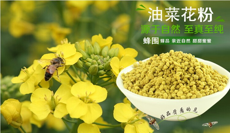 厂家直销 蜂围牌***油菜花粉 花粉