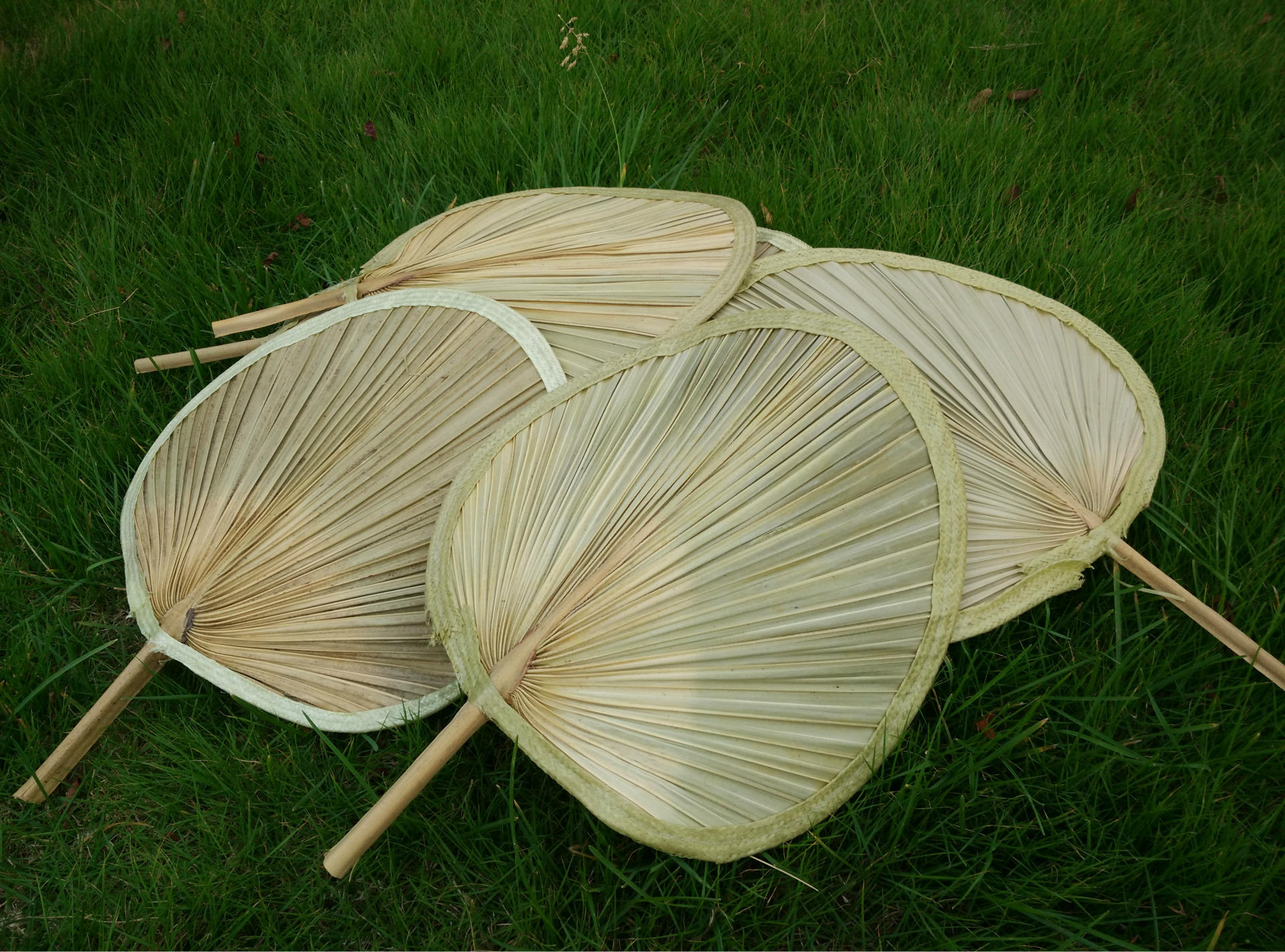 厂家直批芭蕉蒲扇大号环保扇原生态手工芭蕉叶葵扇纳凉扇子