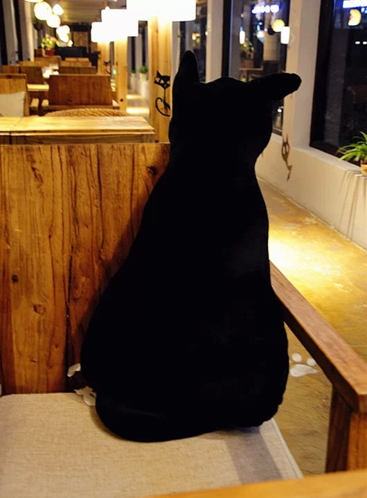 日本原单新品创意 alice背影猫大抱枕 猫咪咖啡厅办公室沙发靠垫