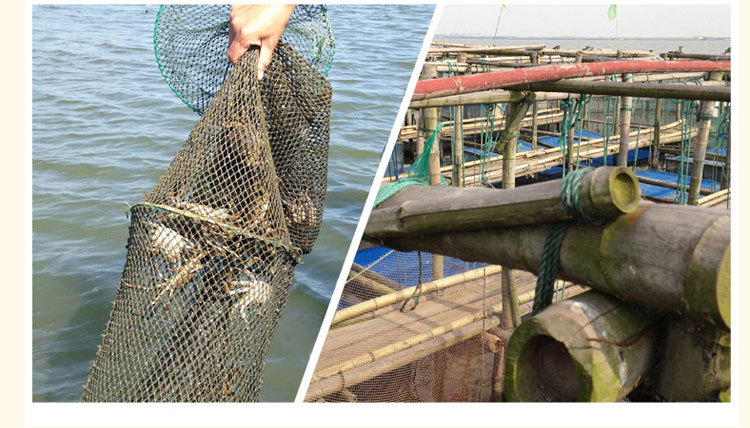 顺丰包邮洪泽湖精品大闸蟹 2.0-2.4公蟹鲜活螃