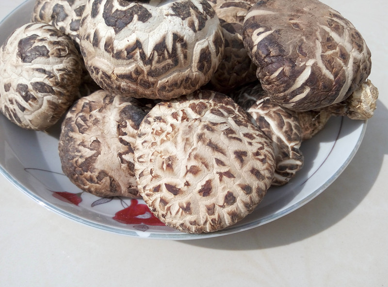 出口欧美香港特级大花菇湖北随州土特产椴木香菇蘑菇干货250