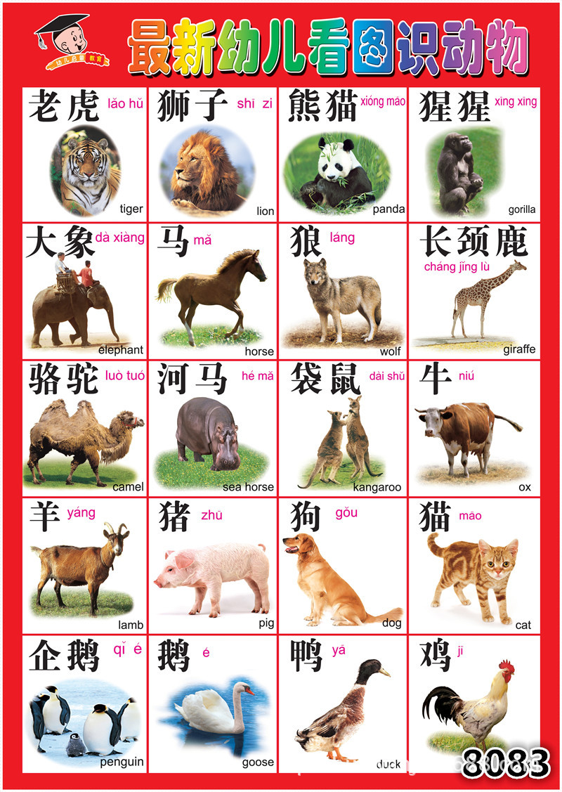 宝宝看图识字识物无声挂图 婴幼儿童启蒙科