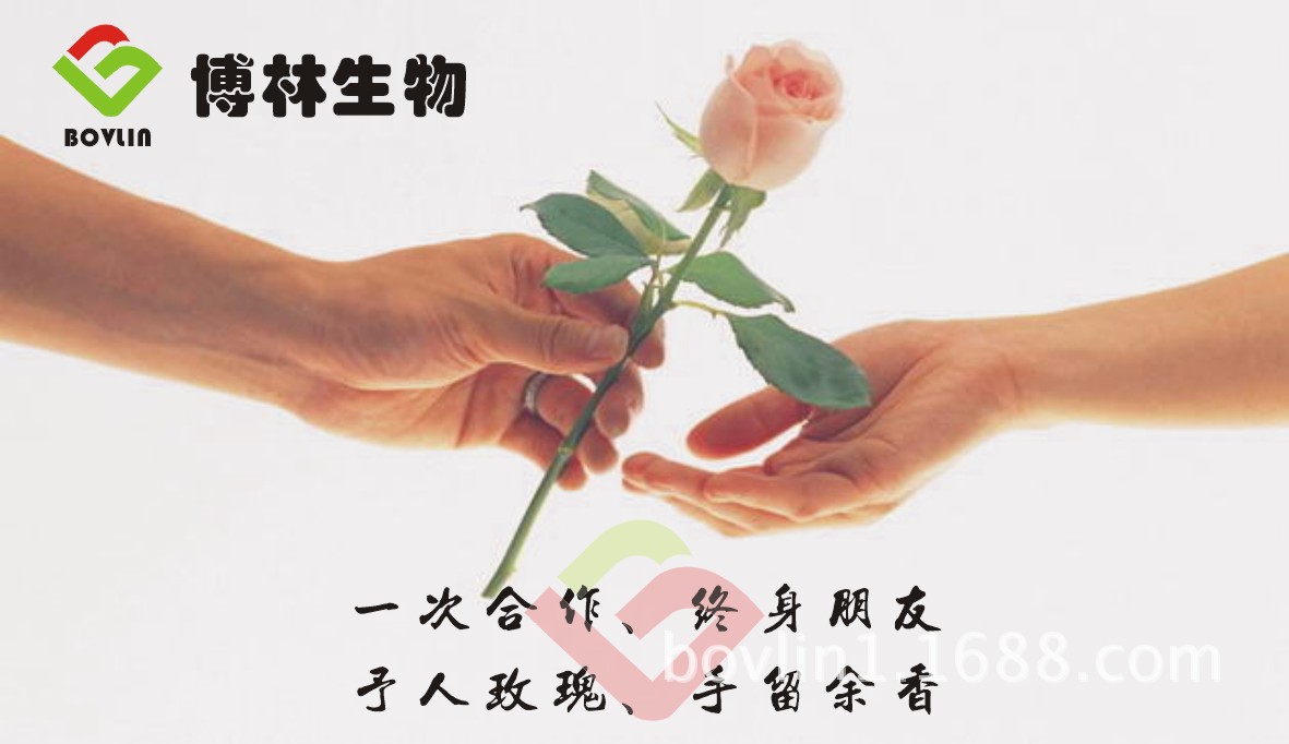 一次合作终身朋友