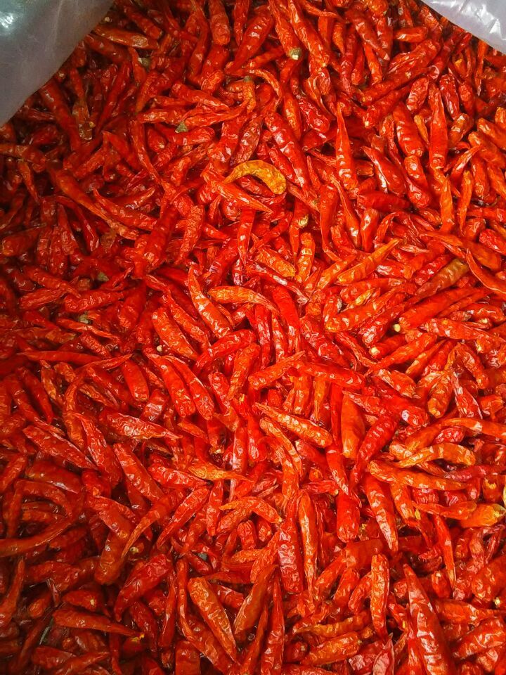 进口越南特产干辣椒王红辣椒干超辣特辣