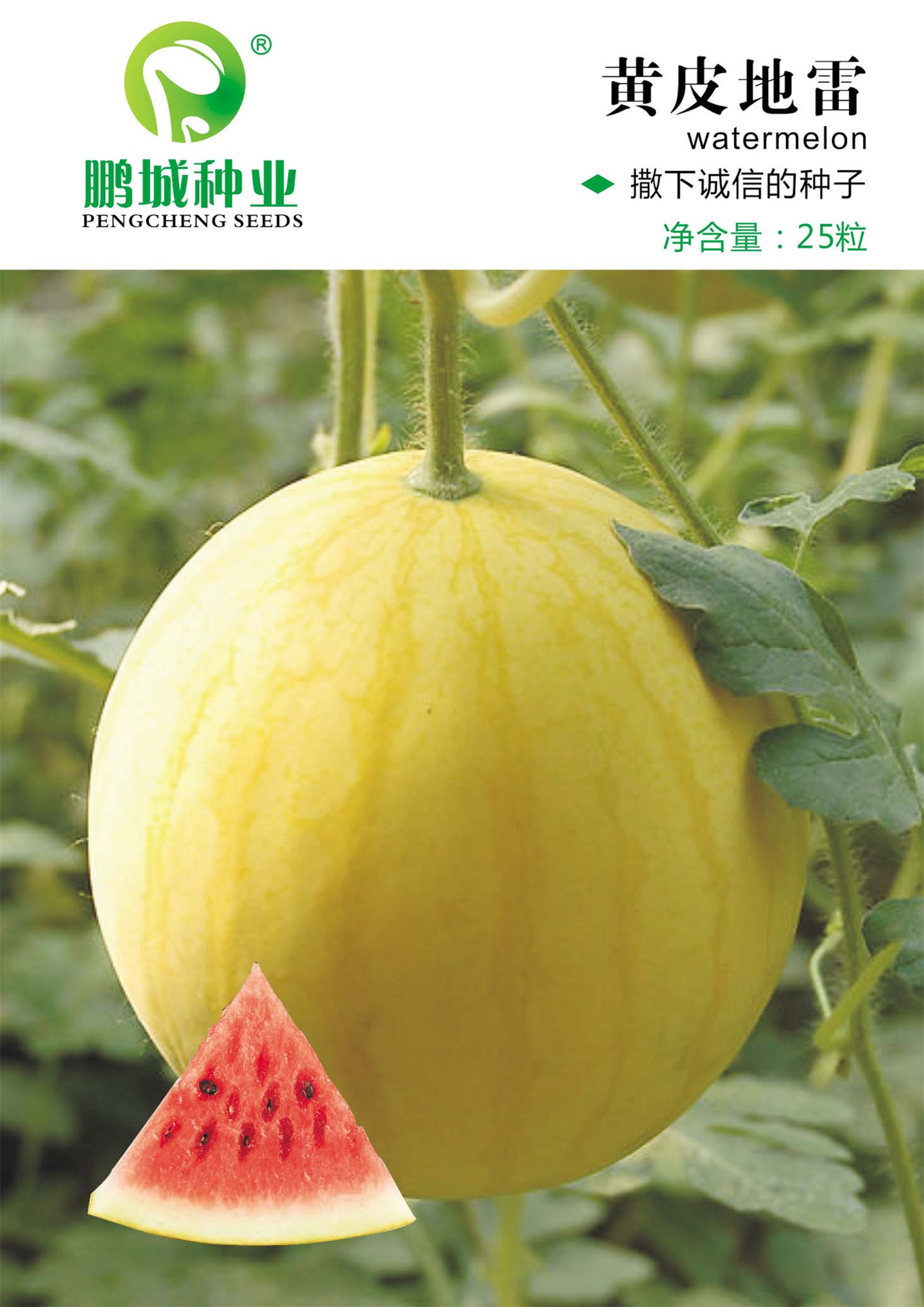 鹏城种业 水果种子 黄皮地雷西瓜种子 黄皮红肉礼品西瓜 25粒/包