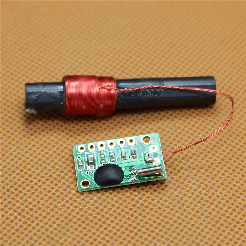 电波钟模块_销售中国电波钟(bpc radio controlled clock 8*50mm)模块