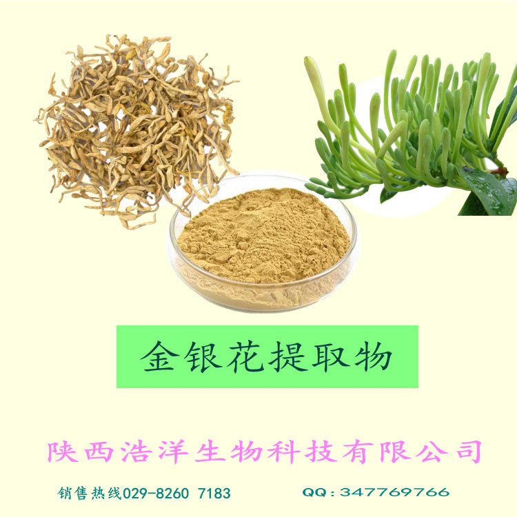 金银花提取物