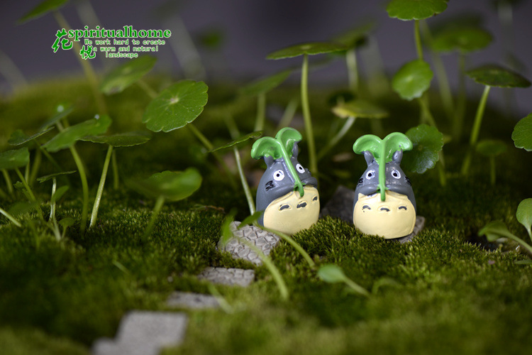 苔藓微景观 多肉植物摆件 迷你扛树叶龙猫 小摆件diy材料