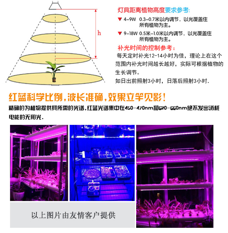 LED植物灯22