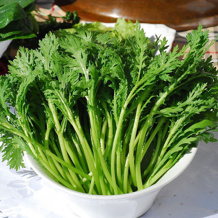 蔬菜种子四季种植茼蒿菜籽小叶茼蒿杆蓬蒿菜籽满香光杆茼蒿种子苗