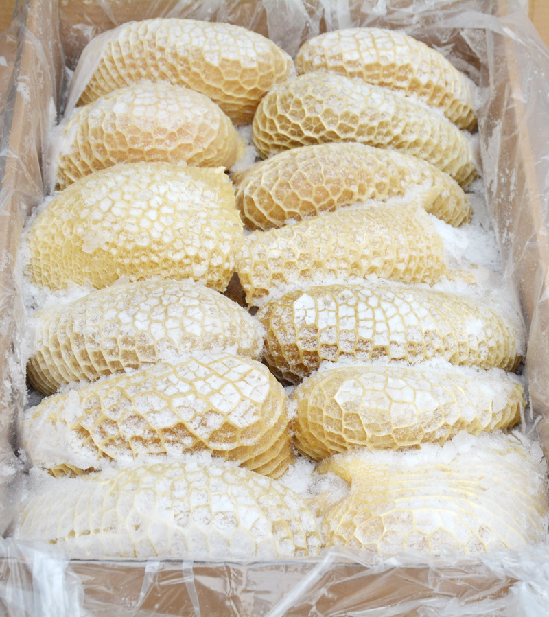 冷冻牛肉金钱肚 冷冻牛肚批发出售 新品冰鲜金钱肚20kg/箱