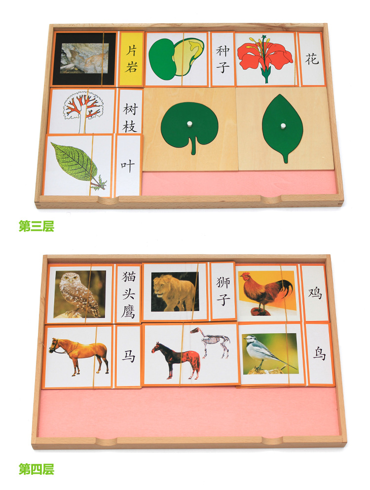 蒙氏树叶卡片柜 动植物嵌板柜 幼儿园专业蒙台蒙特梭利早教教具