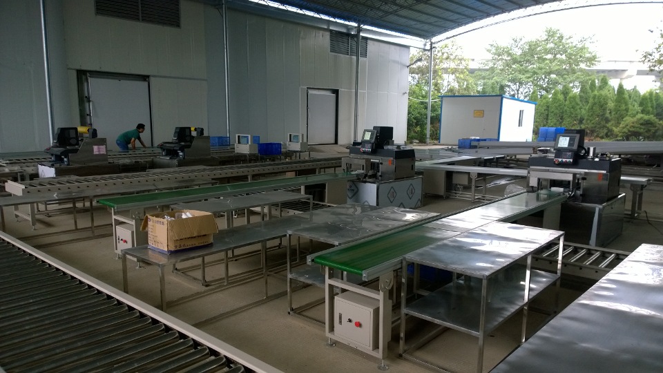 厂家定制,大棚,冷库蔬菜自动化分拣输送线.