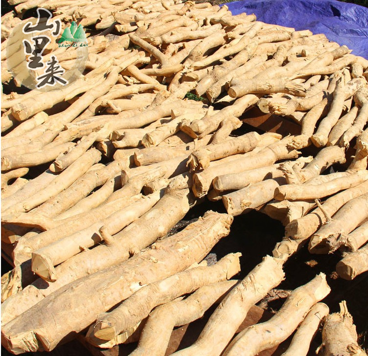 山里来 马来产地直销 黄色东革阿里原支 东革阿里1公斤批发