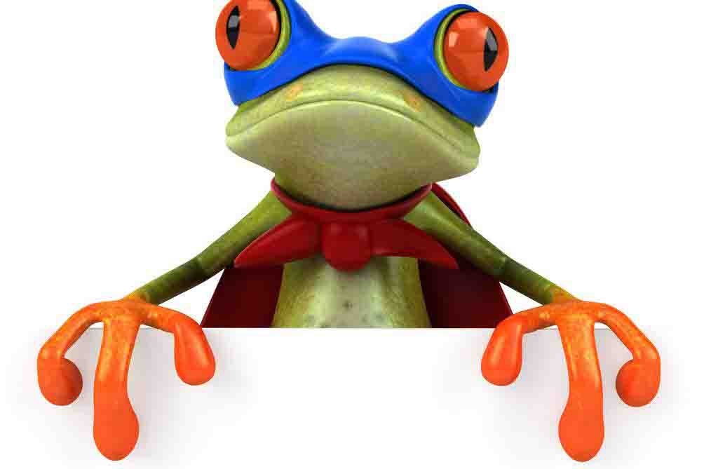 青蛙搞笑青蛙车贴 外贸车贴青蛙骑摩托车 仿真壁虎车贴 搞笑青蛙车贴