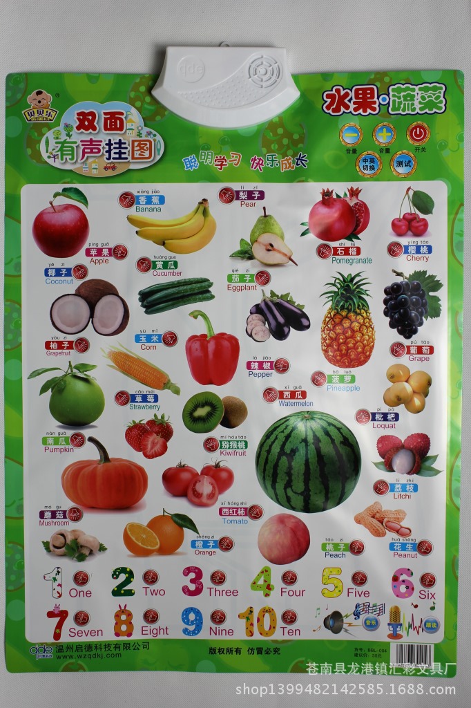 有声挂图