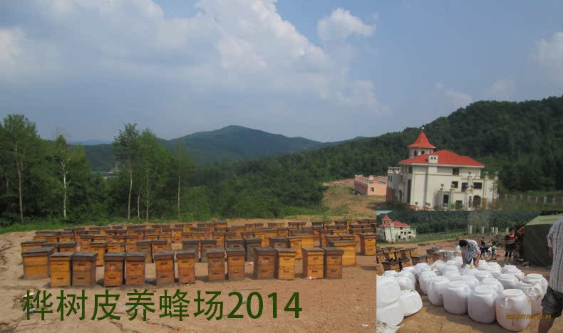 俄罗斯椴树蜜 东北黑蜂蜂蜜纯天然0添加农家正