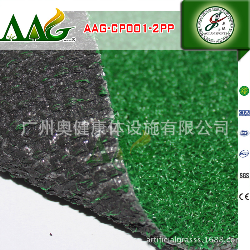 AAG-CP001-2PP (8)