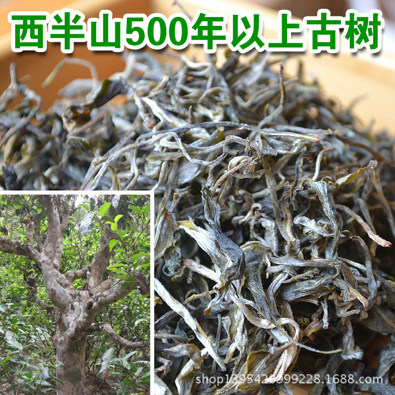 厂家直销 批发春大树散茶普洱茶生茶 头春古树生茶