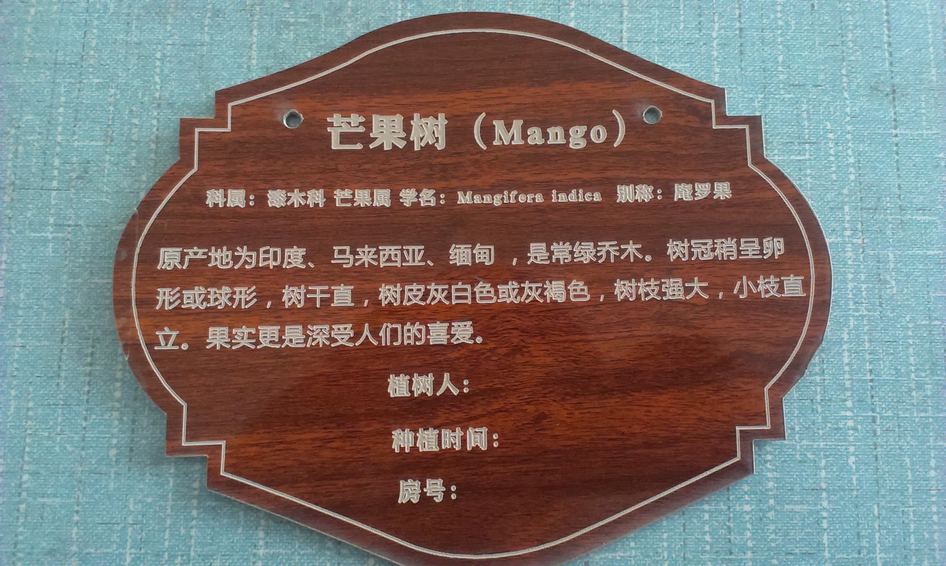 树名牌学校树木指示牌树木标识牌树木解说牌