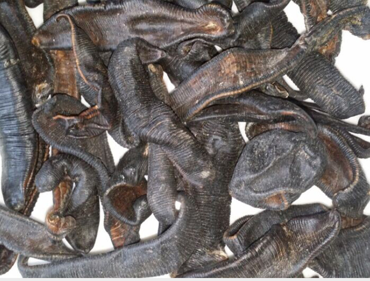 中药材清水吊杆水蛭蚂蟥 治疗跌打损伤水蛭 无盐无矾无糖水蛭干品