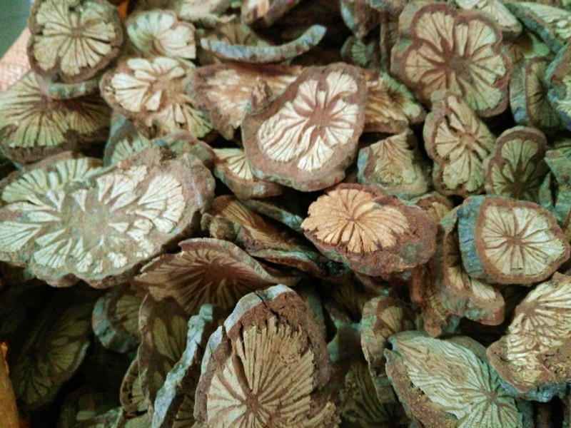 供应中药材优质红藤 血藤 大血藤 大血通清热解毒 活血祛风