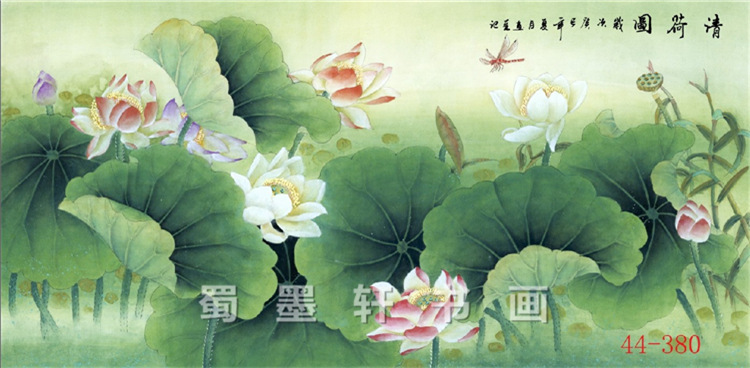 44-380字画 国画 横幅 工笔花鸟 荷花 客厅卧室装饰高仿画芯批发