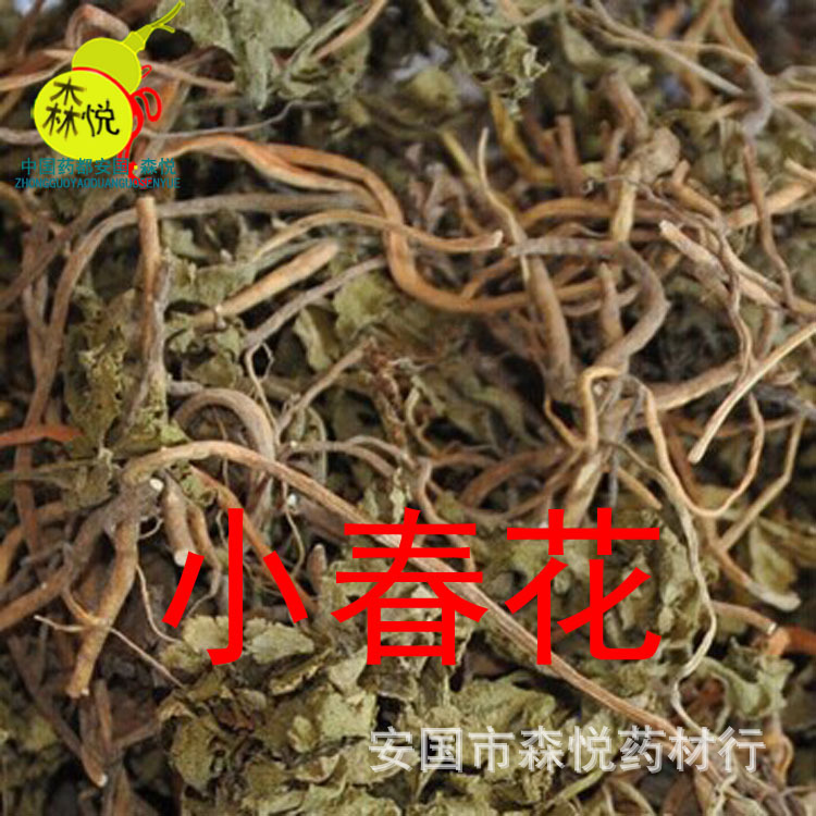小春花 批发冷背中药材 阴地蕨 一朵云 独脚金鸡 破天云 蛇不见
