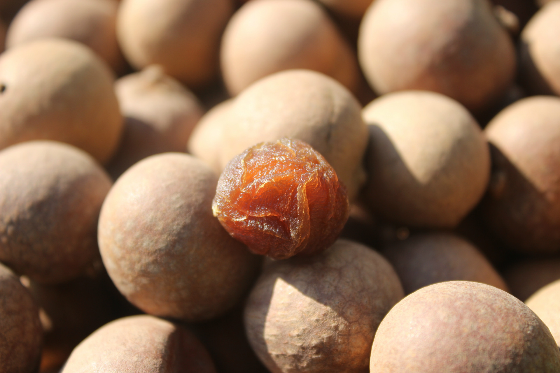 【15年新货】桂圆干整箱批发正宗广西特产桂圆干龙眼干小4a果甩货