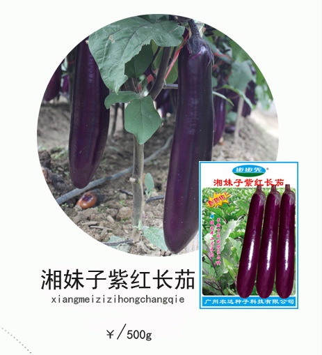首页22-照片_08
