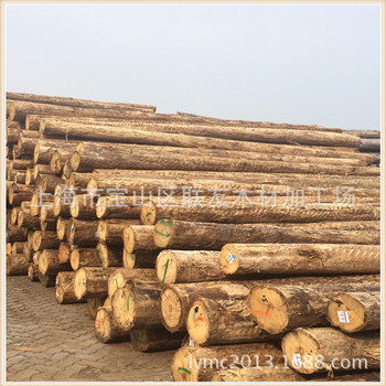 细纹花旗松原木 铁杉云杉原木 园林古建筑寺庙木材 量