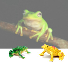 仿真动物模型 多款益虫PVC青蛙树蛙牛蛙儿童早教认知玩具厂家现货