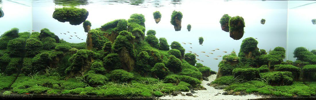 鱼缸底砂 批发 鱼缸装饰 鱼缸造景 水族箱造景 化妆砂 白沙