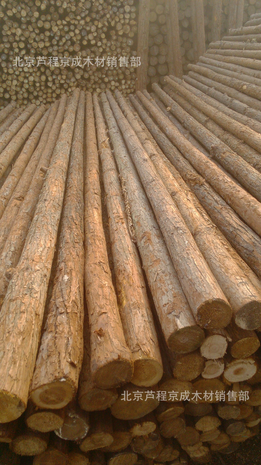 北京芦程京成木材销售部