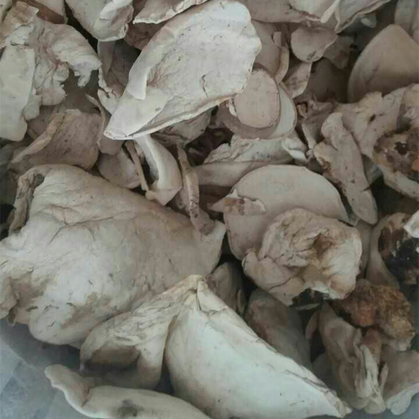 灵芝之家   大秃马勃   白马勃 产地批发 一手货源