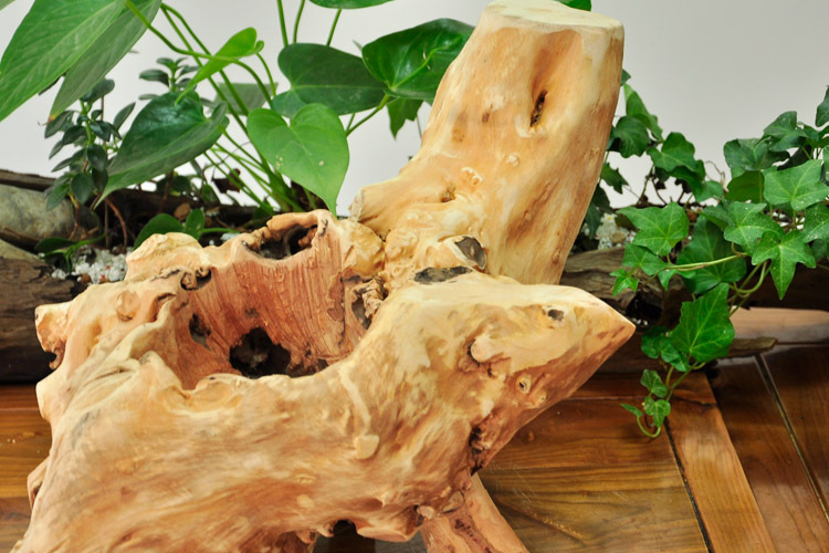 厂家直销大件家居崖柏根雕工艺品摆件防腐木质多肉植物花盆tr5721