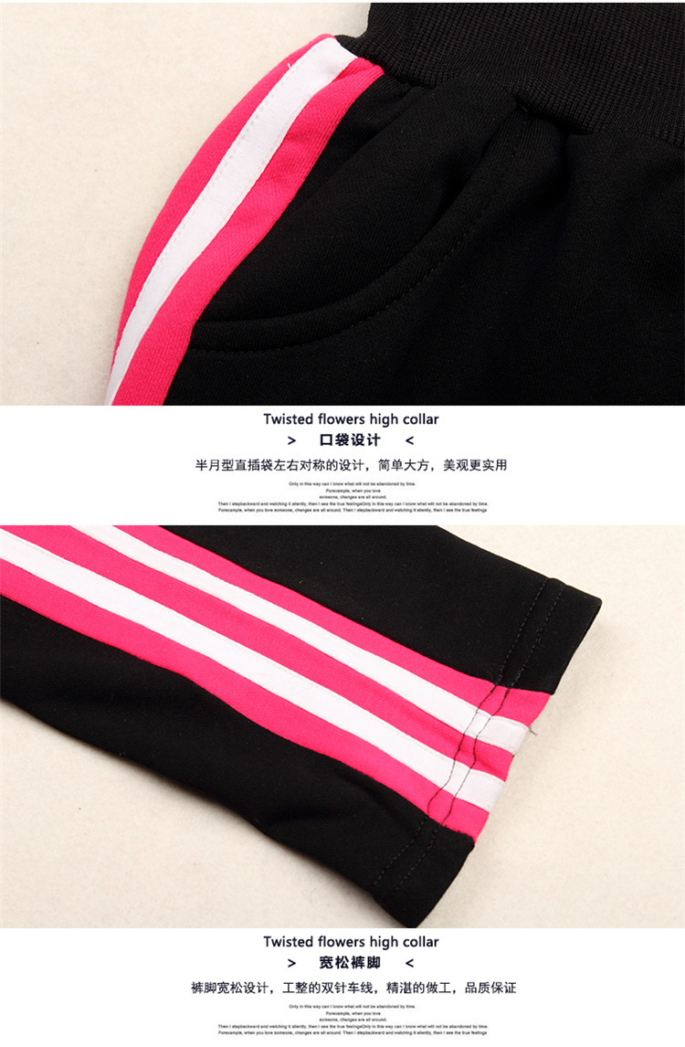 收入证明_指导手收入(2)