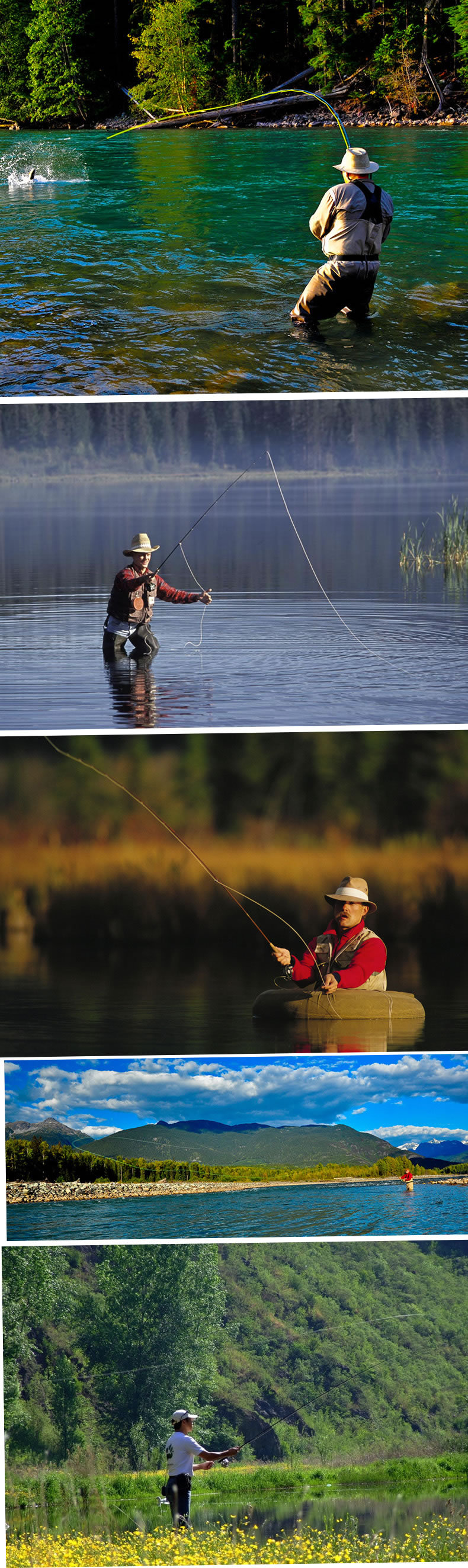 鱼饵 飞蝇钩 昆虫饵 飞钓鱼饵 美国鱼饵