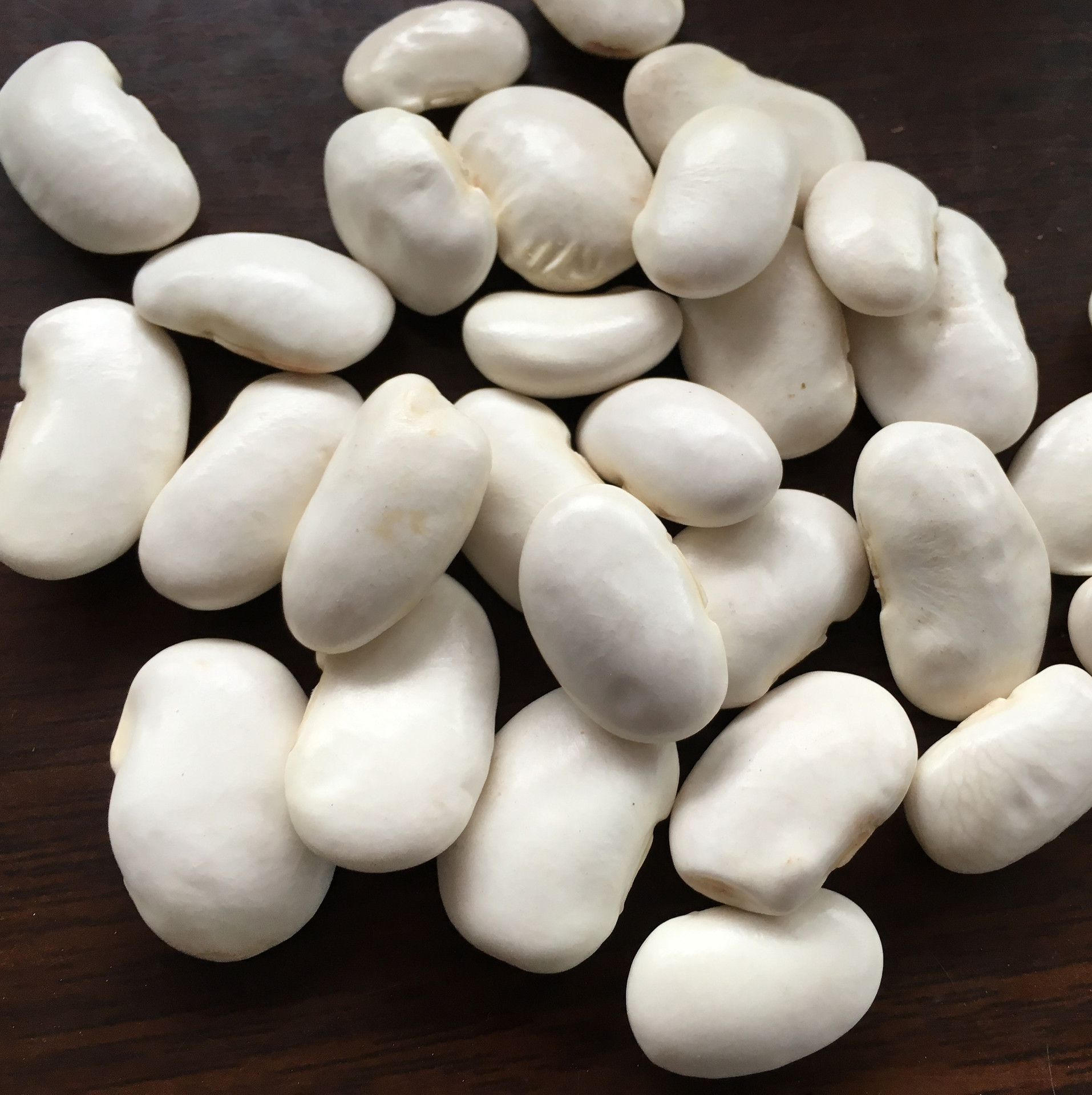 厂家直销 五谷杂粮大白芸豆 新货19.5kg 炖菜打粉大雪豆