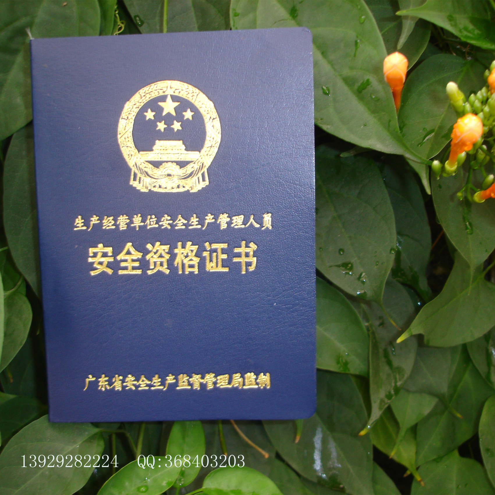 证书印刷订制广东省生产经营单位主要负责人安全培训合格证书