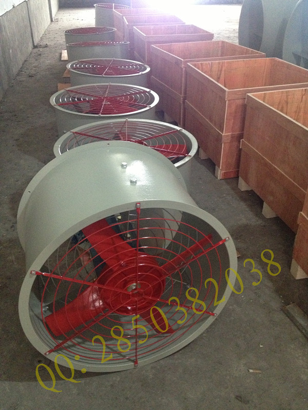 IMG_5358_副本_副本