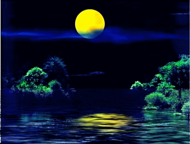 604_459gif 动态图 动图