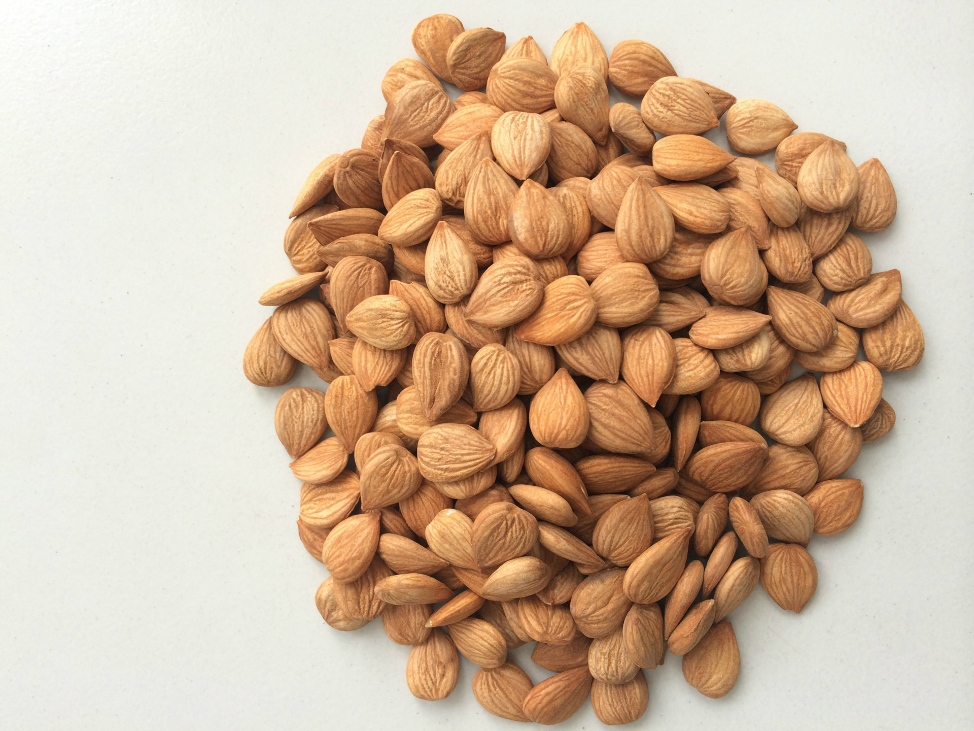 厂家直销张家口特产无壳杏仁 2015热销简包装开口杏仁低价批发